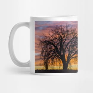 Cotton Wood Sunrise Mug